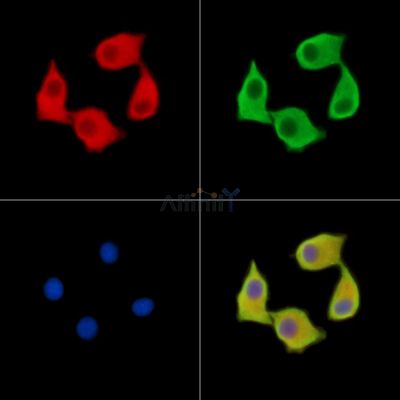 Валидация Affinity DF14537 - 10530