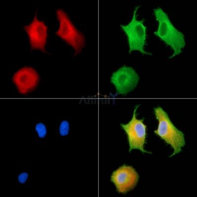 Валидация Affinity DF13806 - 9487