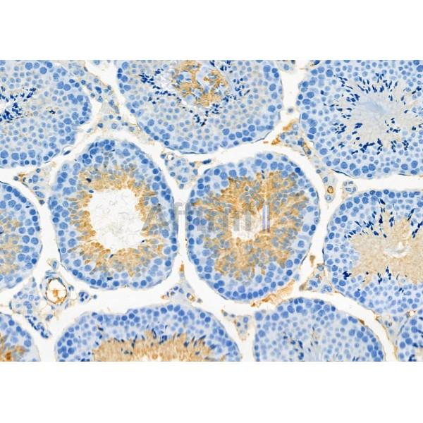 Валидация Affinity DF12341 - 6769