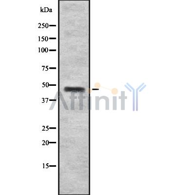 Валидация Affinity DF8308 - 20159