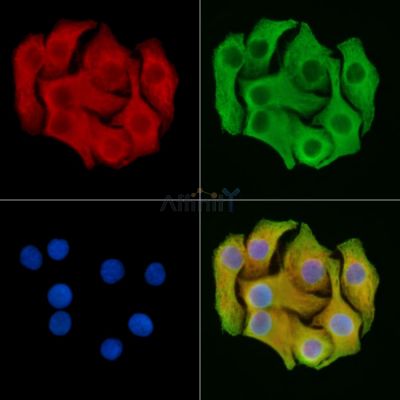 Валидация Affinity DF14106 - 9900