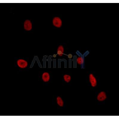 Валидация Affinity DF7563 - 19321