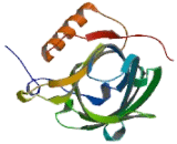 Retinol Binding Protein 4, Plasma (RBP4)