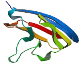 Sialic Acid Binding Ig Like Lectin 12 (SIGLEC12) Sialic Acid Binding Ig Like Lectin 12 (SIGLEC12)