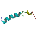 Islet Amyloid Polypeptide (IAPP)