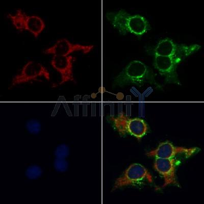 Валидация Affinity AF5464 - 3122