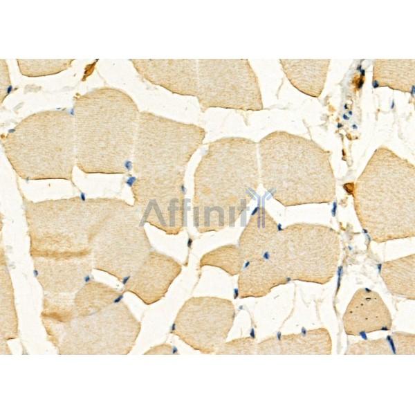 Валидация Affinity DF7116 - 18759