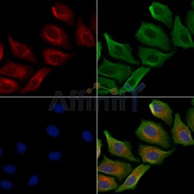 Валидация Affinity DF2819 - 13566