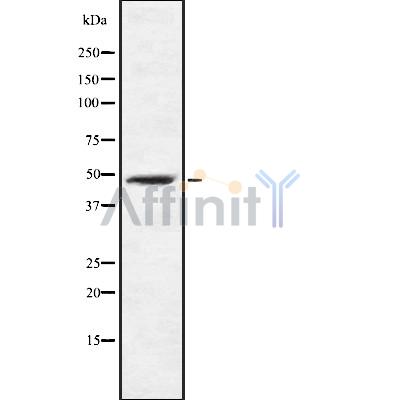 Валидация Affinity DF8533 - 20410