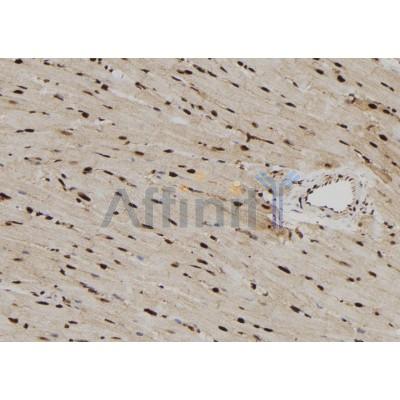 Валидация Affinity DF9871 - 22806