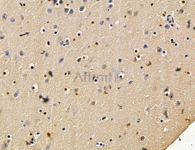 Валидация Affinity DF15347 - 11645