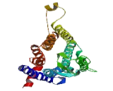 Taste Receptor Type 2 Member 3 (TAS2R3) Taste Receptor Type 2 Member 3 (TAS2R3)
