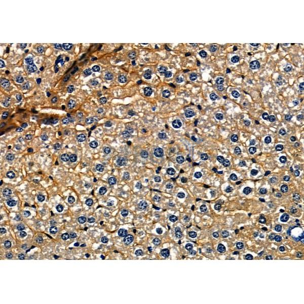 Валидация Affinity DF7761 - 19578