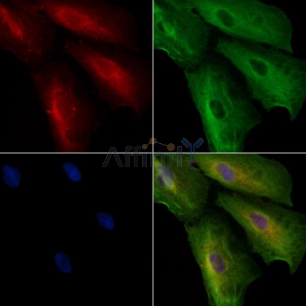 Валидация Affinity DF2544 - 13208