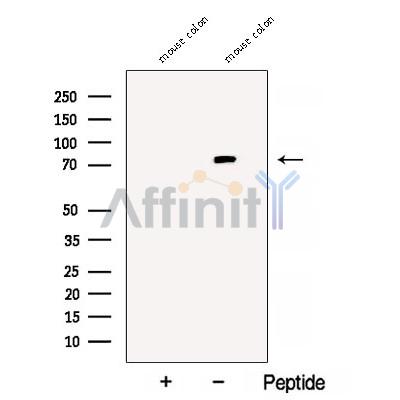 Валидация Affinity DF12852 - 7580