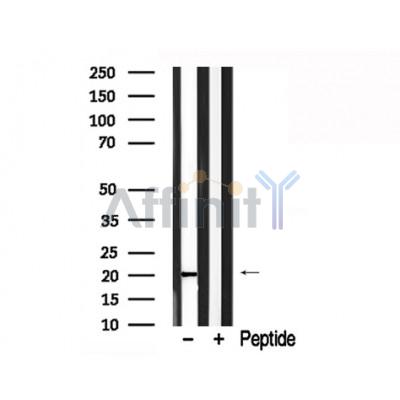 Валидация Affinity AF7778 - 4489