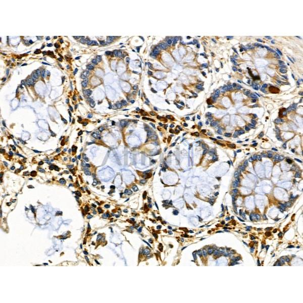 Валидация Affinity DF6197 - 17453