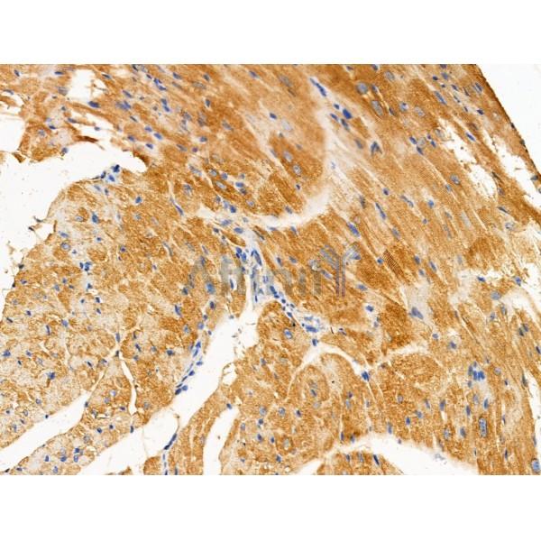 Валидация Affinity DF13413 - 8703