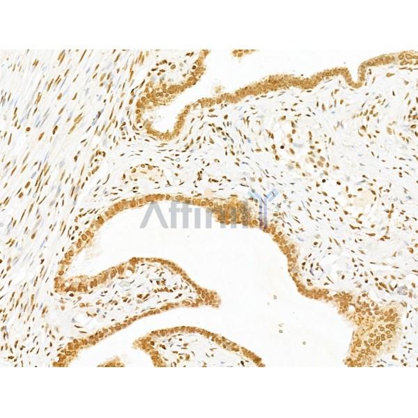 Валидация Affinity DF8361 - 20223