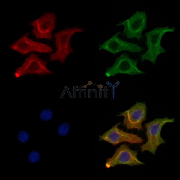 Валидация Affinity DF10140 - 5662