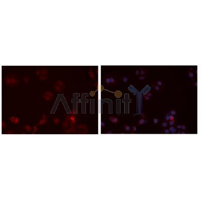 Валидация Affinity DF2325 - 12901