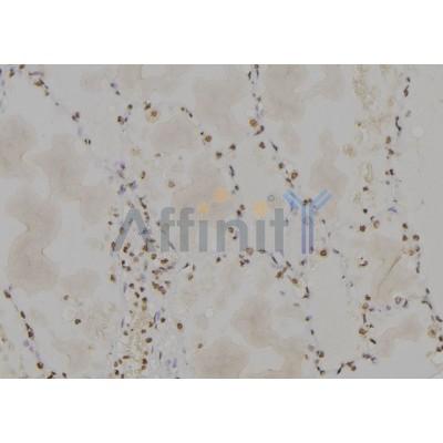 Валидация Affinity DF6907 - 18504