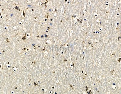 Валидация Affinity DF15640 - 12072