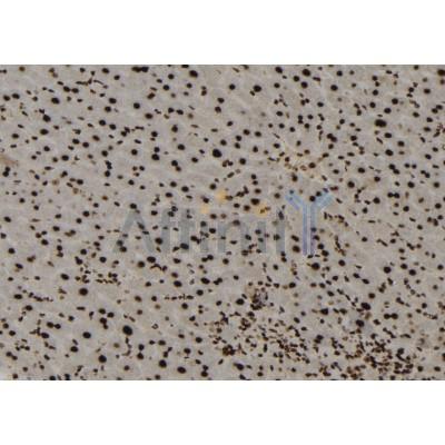 Валидация Affinity DF12293 - 6657