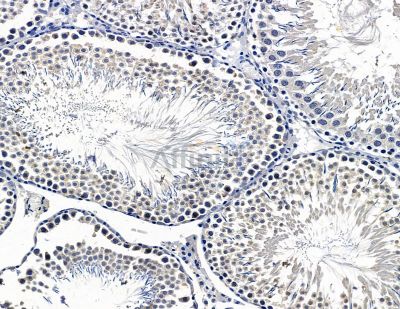 Валидация Affinity DF15452 - 11803