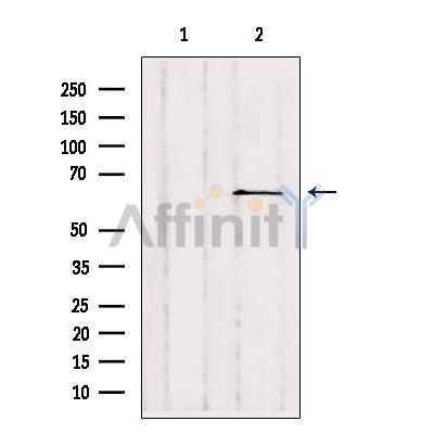 Валидация Affinity DF4522 - 16090
