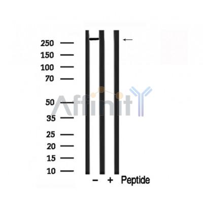 Валидация Affinity AF7773 - 4482