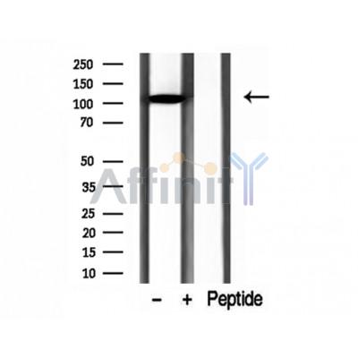 Валидация Affinity DF12197 - 6440