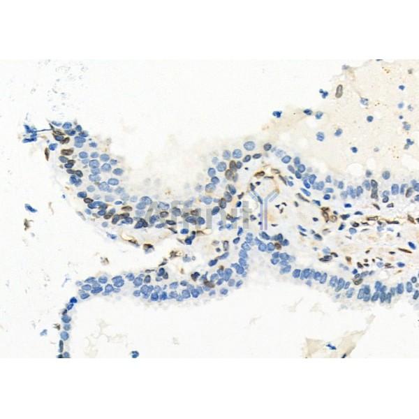 Валидация Affinity AF6753 - 4001