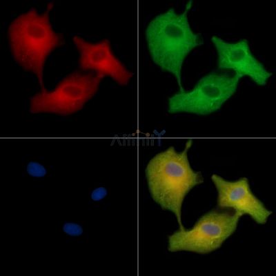 Валидация Affinity DF14935 - 11111