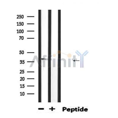 Валидация Affinity DF6481 - 17875