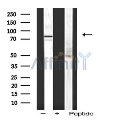 Валидация Affinity AF5327 - 2897