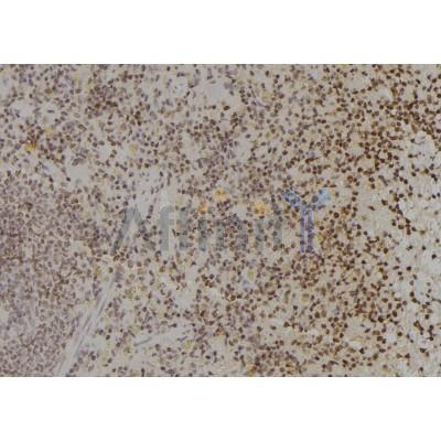 Валидация Affinity DF6932 - 18540