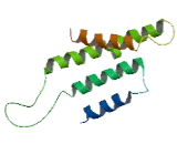 Olfactory Receptor 1D2 (OR1D2) Olfactory Receptor 1D2 (OR1D2)