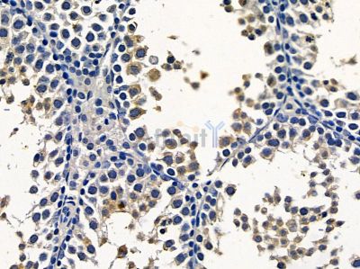 Валидация Affinity DF16108 - 12695