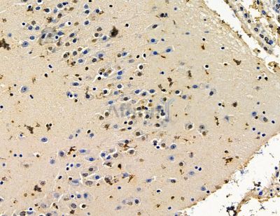 Валидация Affinity DF15554 - 11957