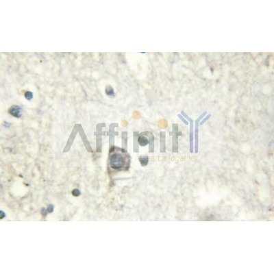 Валидация Affinity AF6296 - 3564