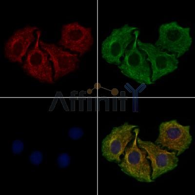 Валидация Affinity AF7838 - 4566