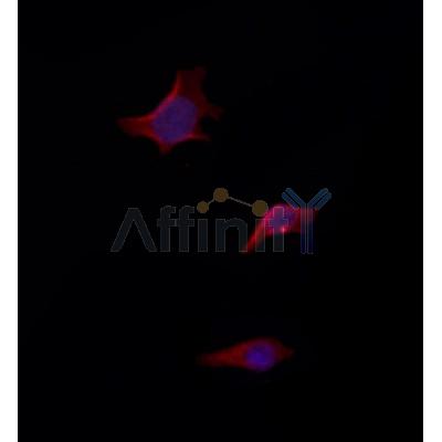 Валидация Affinity DF12124 - 6275