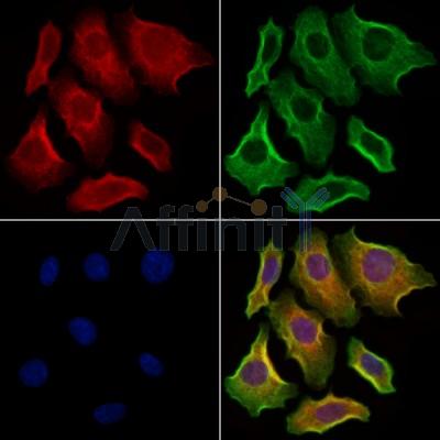 Валидация Affinity DF12442 - 6966