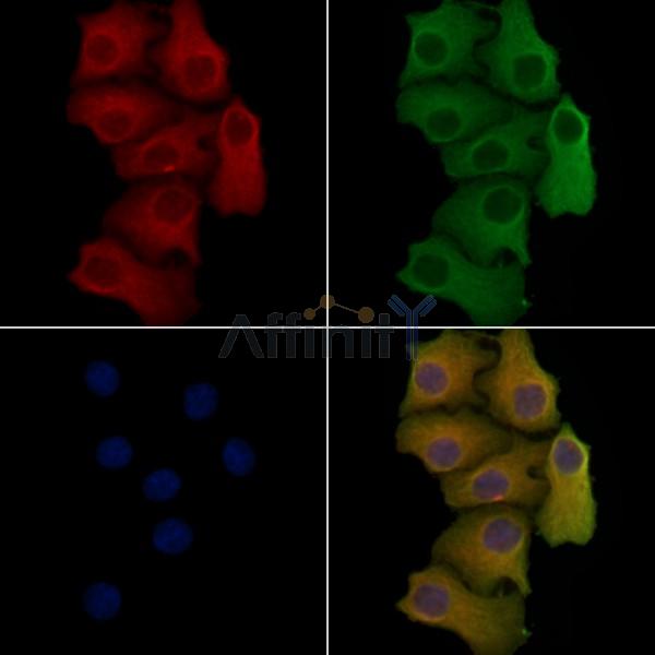 Валидация Affinity DF4528 - 16101