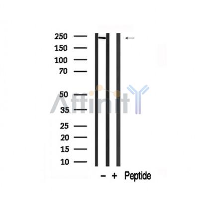 Валидация Affinity AF7891 - 4634