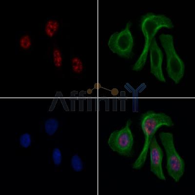 Валидация Affinity AF6103 - 3312