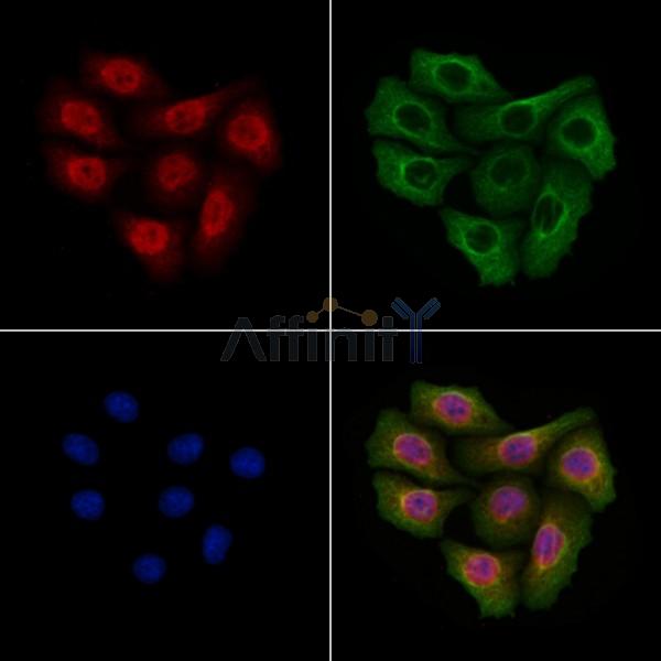 Валидация Affinity DF13238 - 8292