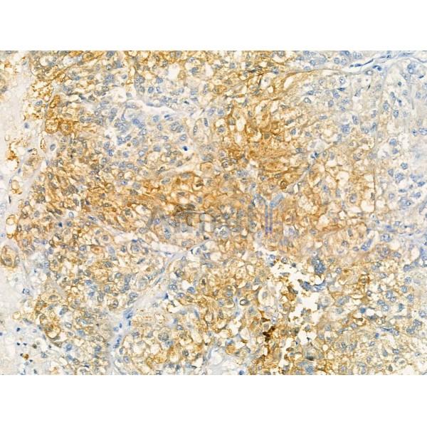 Валидация Affinity AF5383 - 3014