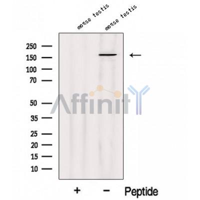 Валидация Affinity DF12650 - 7293